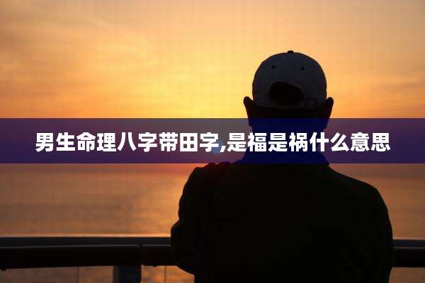 男生命理八字带田字,是福是祸什么意思