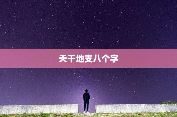 天干地支八个字