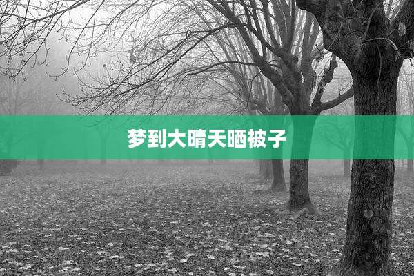 梦到大晴天晒被子