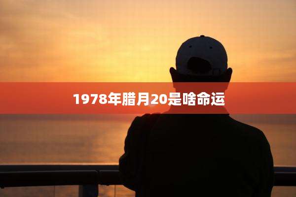 1978年腊月20是啥命运
