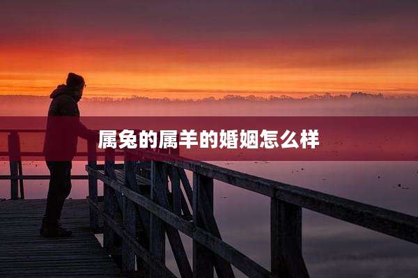 属兔的属羊的婚姻怎么样