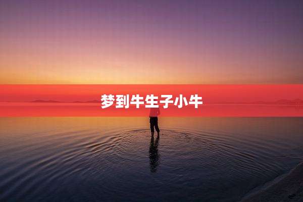 梦到牛生子小牛