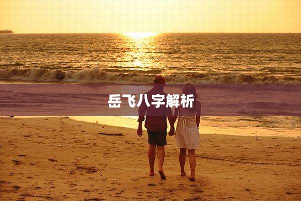 岳飞八字解析