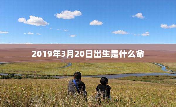 2019年3月20日出生是什么命