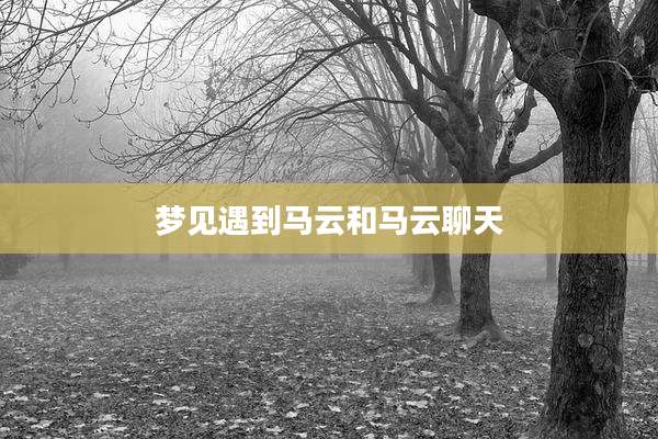 梦见遇到马云和马云聊天