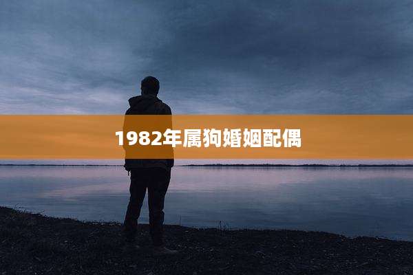 1982年属狗婚姻配偶