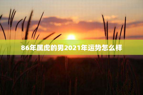 86年属虎的男2021年运势怎么样
