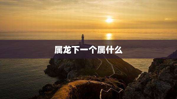 属龙下一个属什么