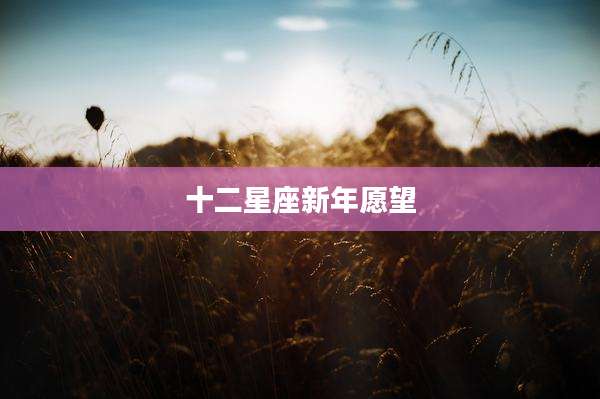 十二星座新年愿望