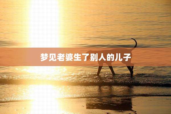 梦见老婆生了别人的儿子