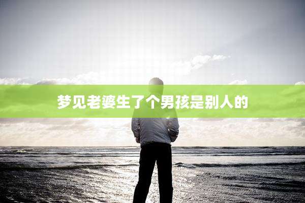 梦见老婆生了个男孩是别人的