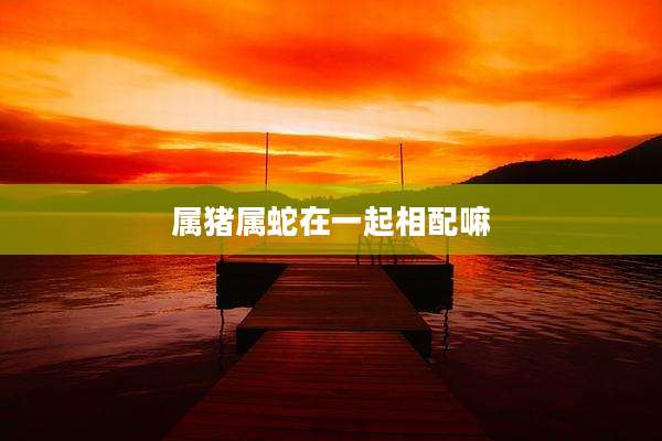 属猪属蛇在一起相配嘛