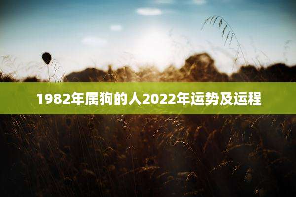 1982年属狗的人2022年运势及运程