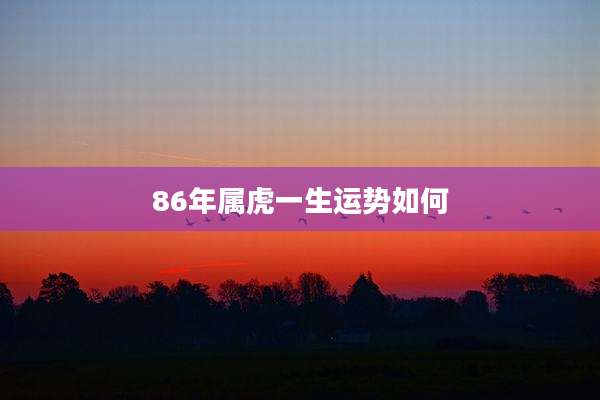 86年属虎一生运势如何