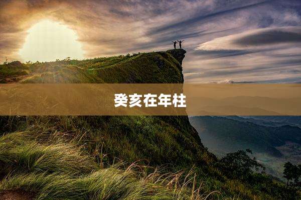 癸亥在年柱