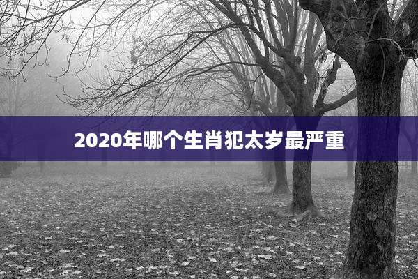 2020年哪个生肖犯太岁最严重