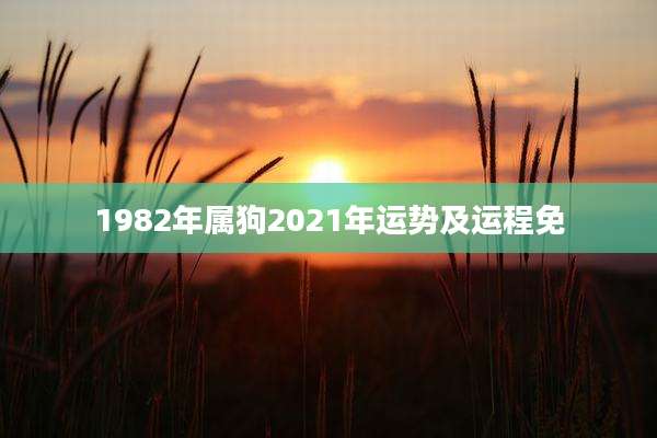 1982年属狗2021年运势及运程免