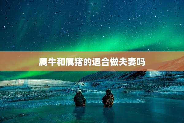 属牛和属猪的适合做夫妻吗