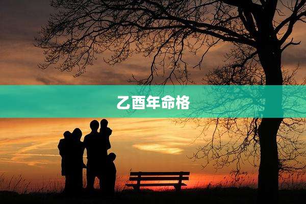 乙酉年命格