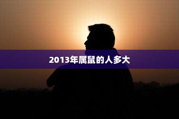 2013年属鼠的人多大