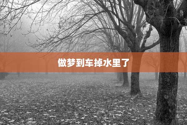 做梦到车掉水里了