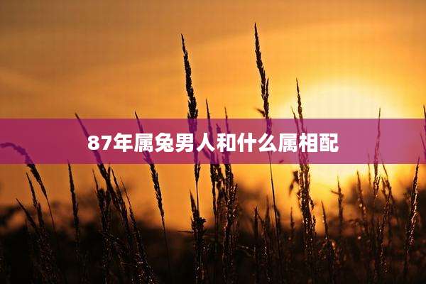 87年属兔男人和什么属相配