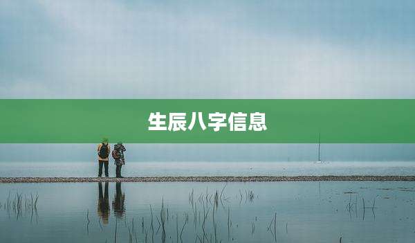 生辰八字信息