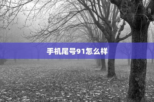 手机尾号91怎么样