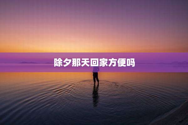 除夕那天回家方便吗