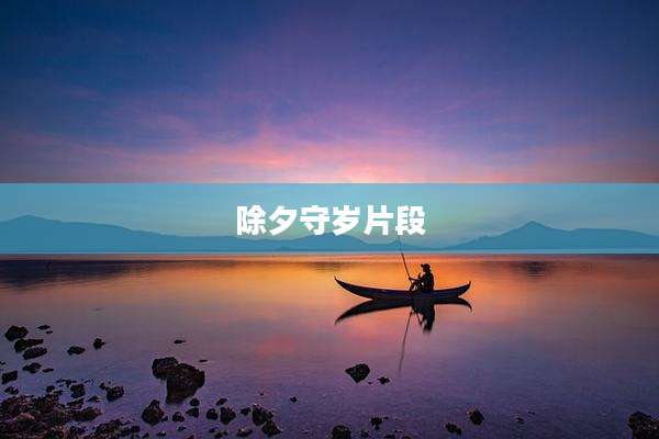 除夕守岁片段