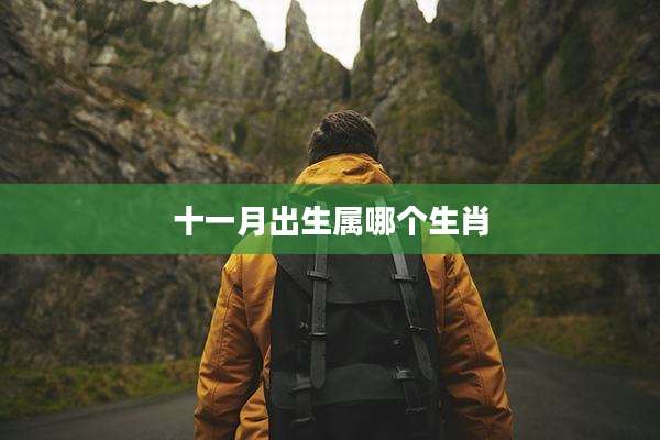 十一月出生属哪个生肖