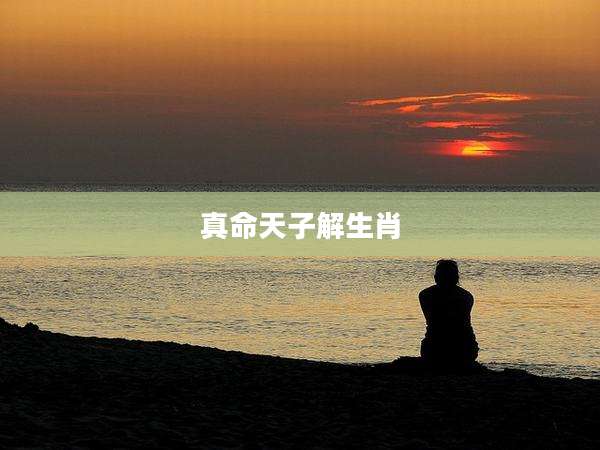 真命天子解生肖