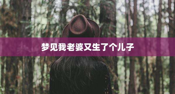 梦见我老婆又生了个儿子
