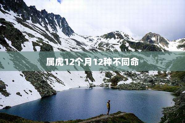 属虎12个月12种不同命