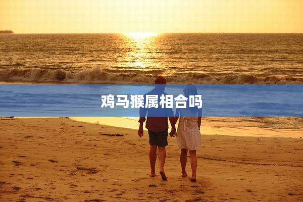 鸡马猴属相合吗