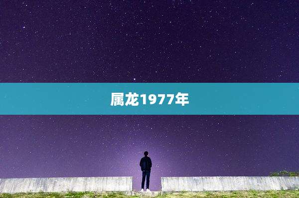 属龙1977年