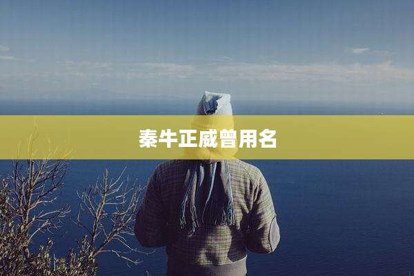 秦牛正威曾用名