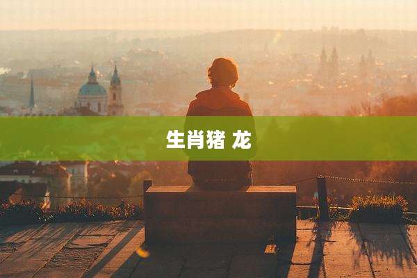 生肖猪 龙