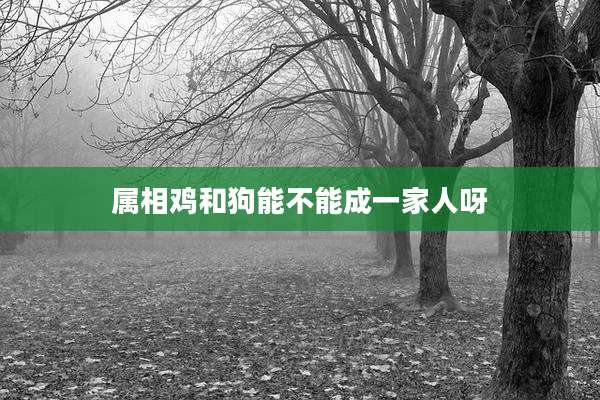 属相鸡和狗能不能成一家人呀