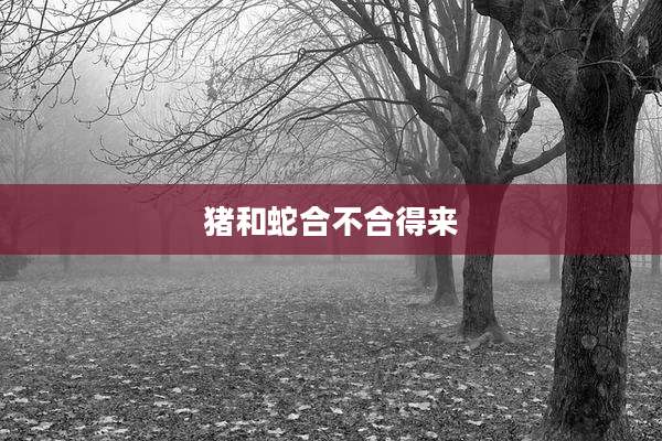 猪和蛇合不合得来
