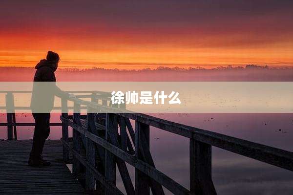 徐帅是什么