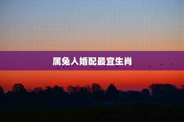 属兔人婚配最宜生肖