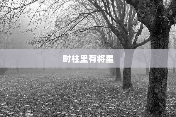 时柱里有将星