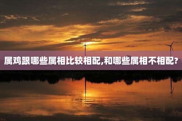 属鸡跟哪些属相比较相配,和哪些属相不相配?