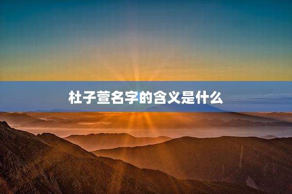杜子萱名字的含义是什么