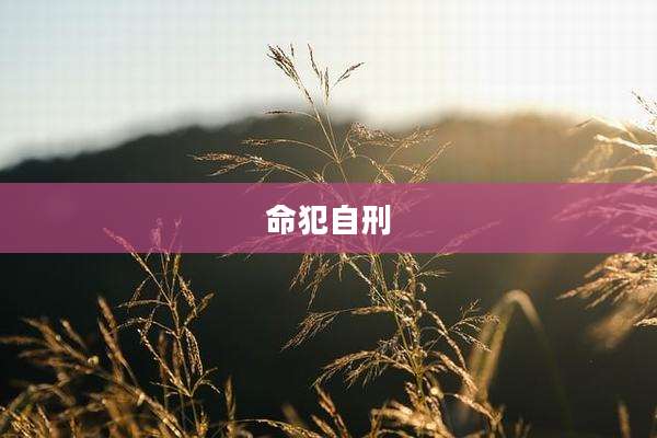 命犯自刑