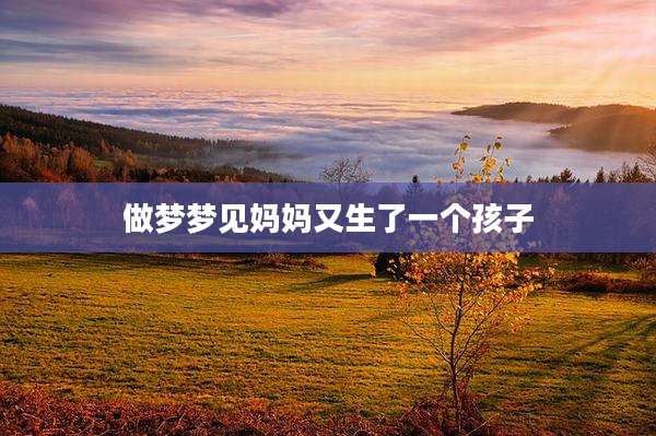 做梦梦见妈妈又生了一个孩子