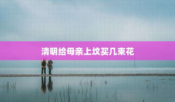 清明给母亲上坟买几束花