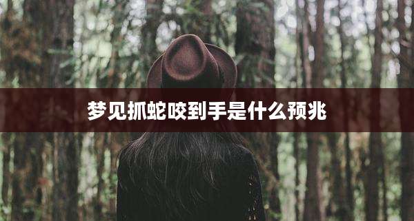 梦见抓蛇咬到手是什么预兆