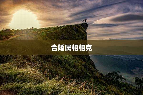 合婚属相相克